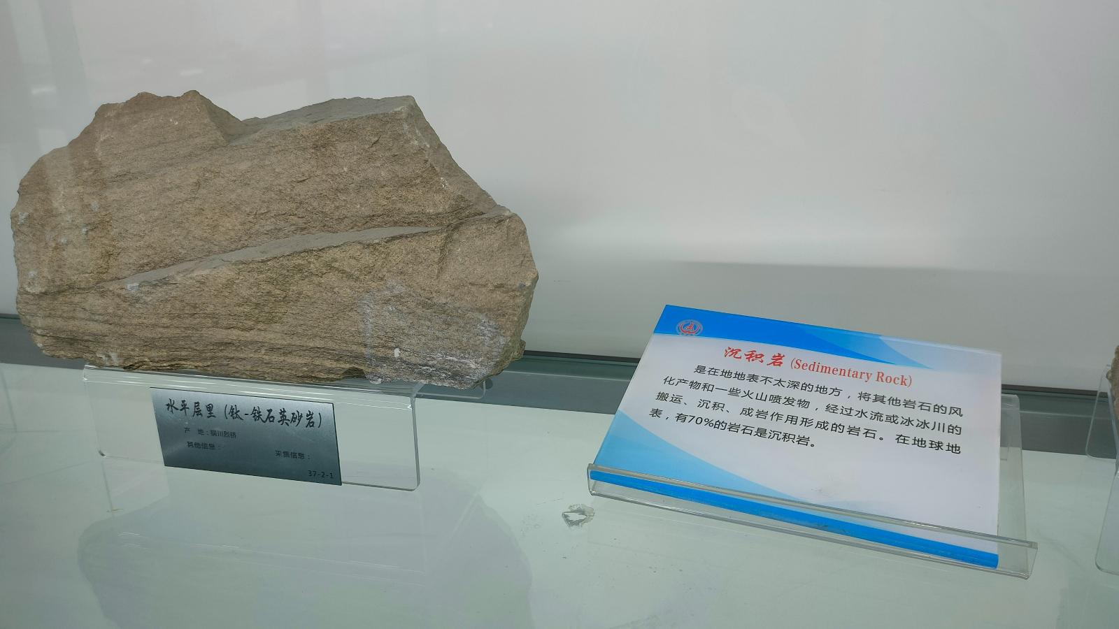长安大学
