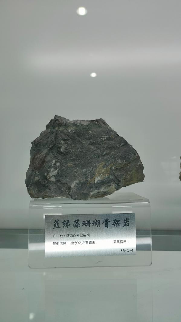 长安大学
