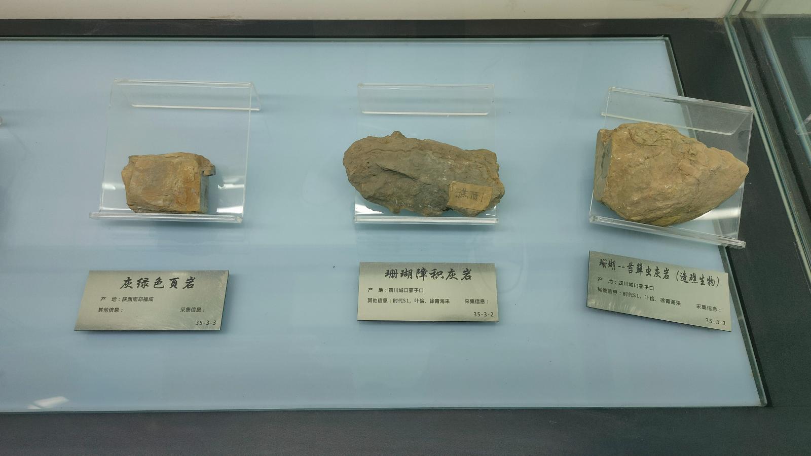 长安大学