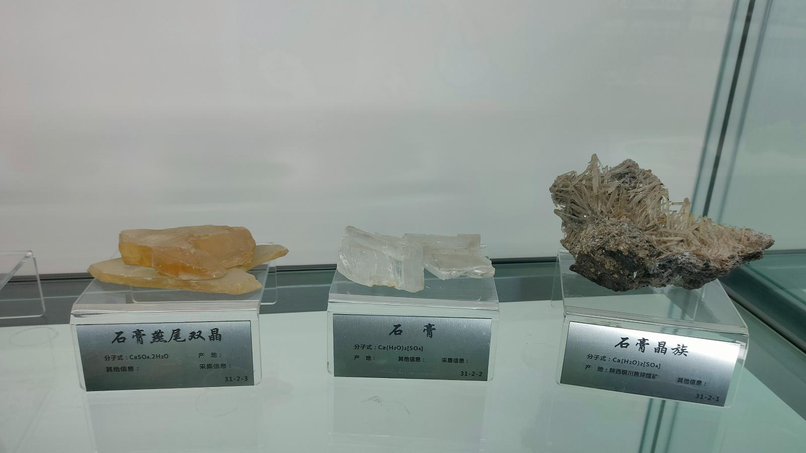 长安大学