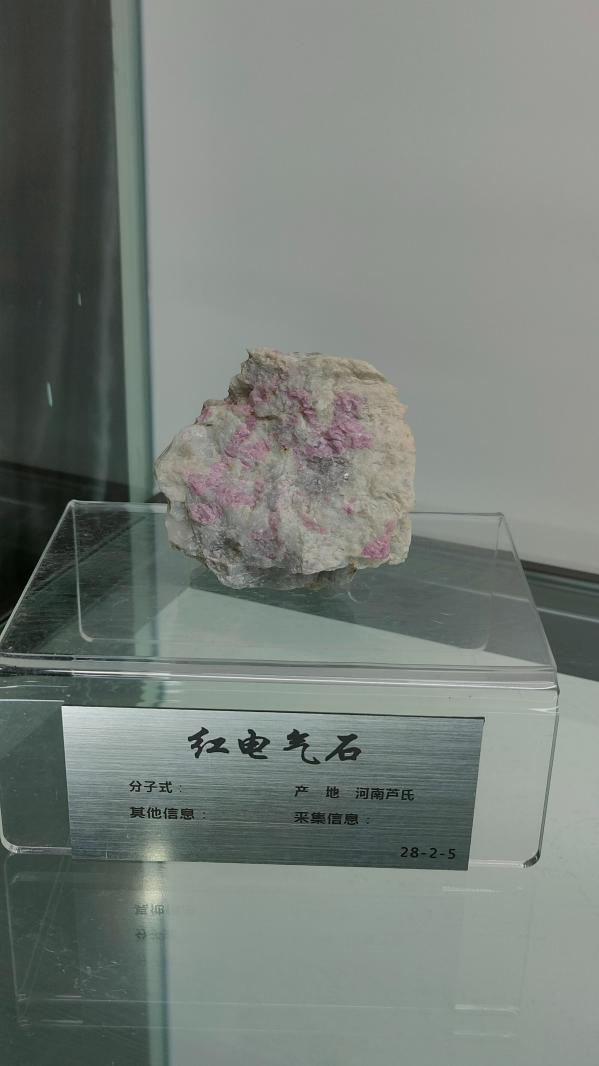 长安大学
