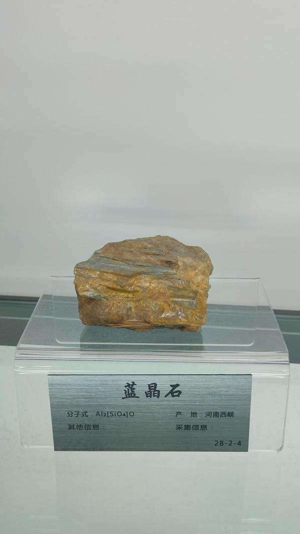 长安大学