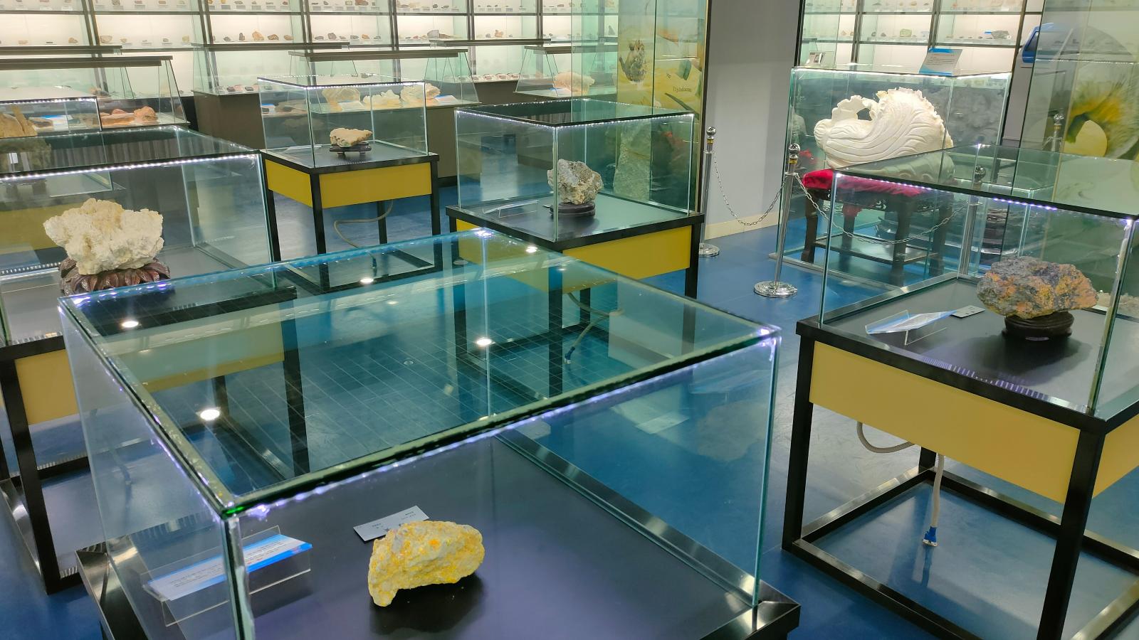 长安大学