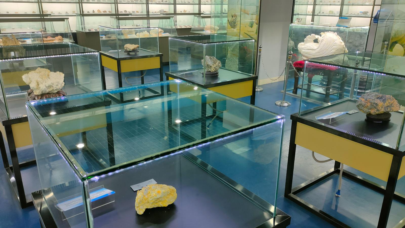 长安大学