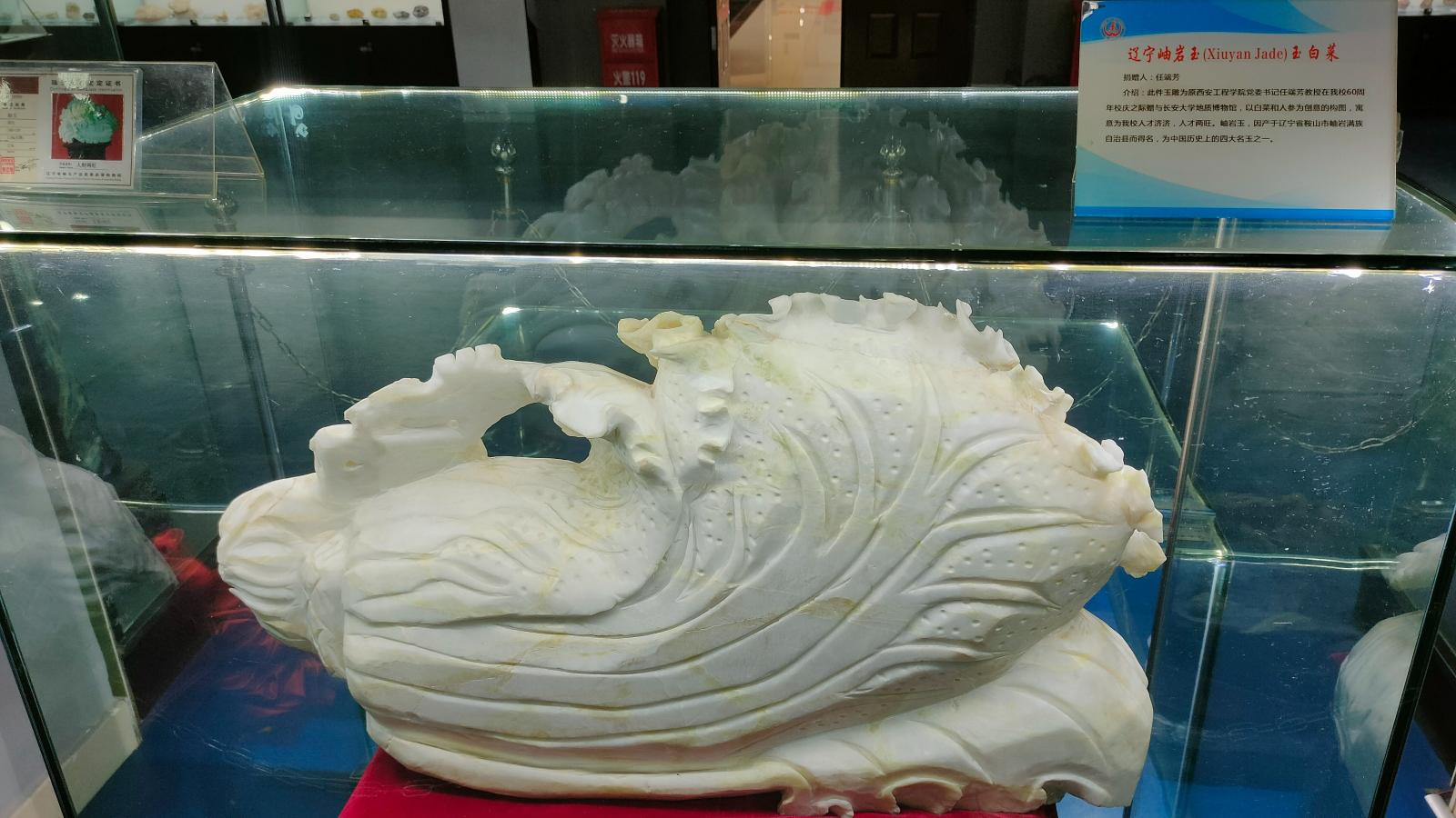 长安大学