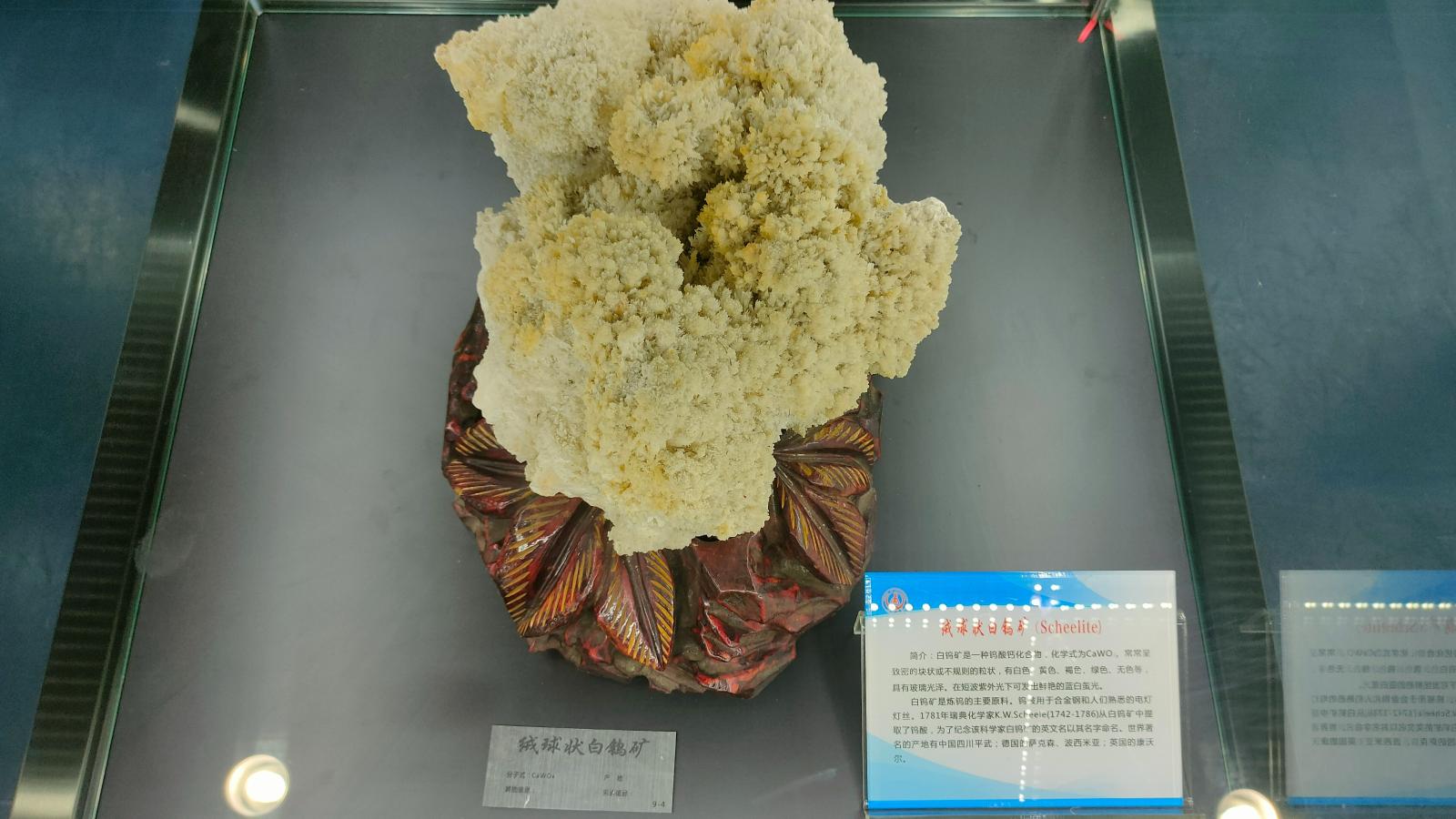 长安大学