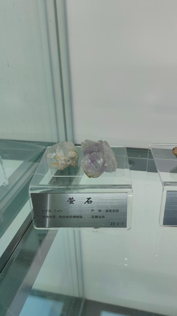 长安大学