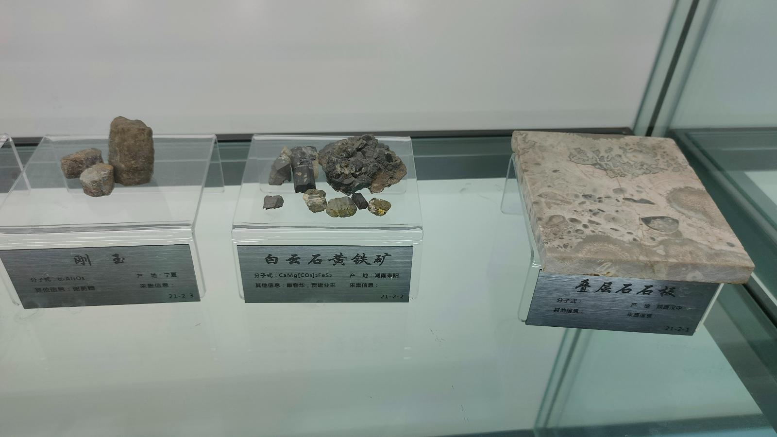 长安大学