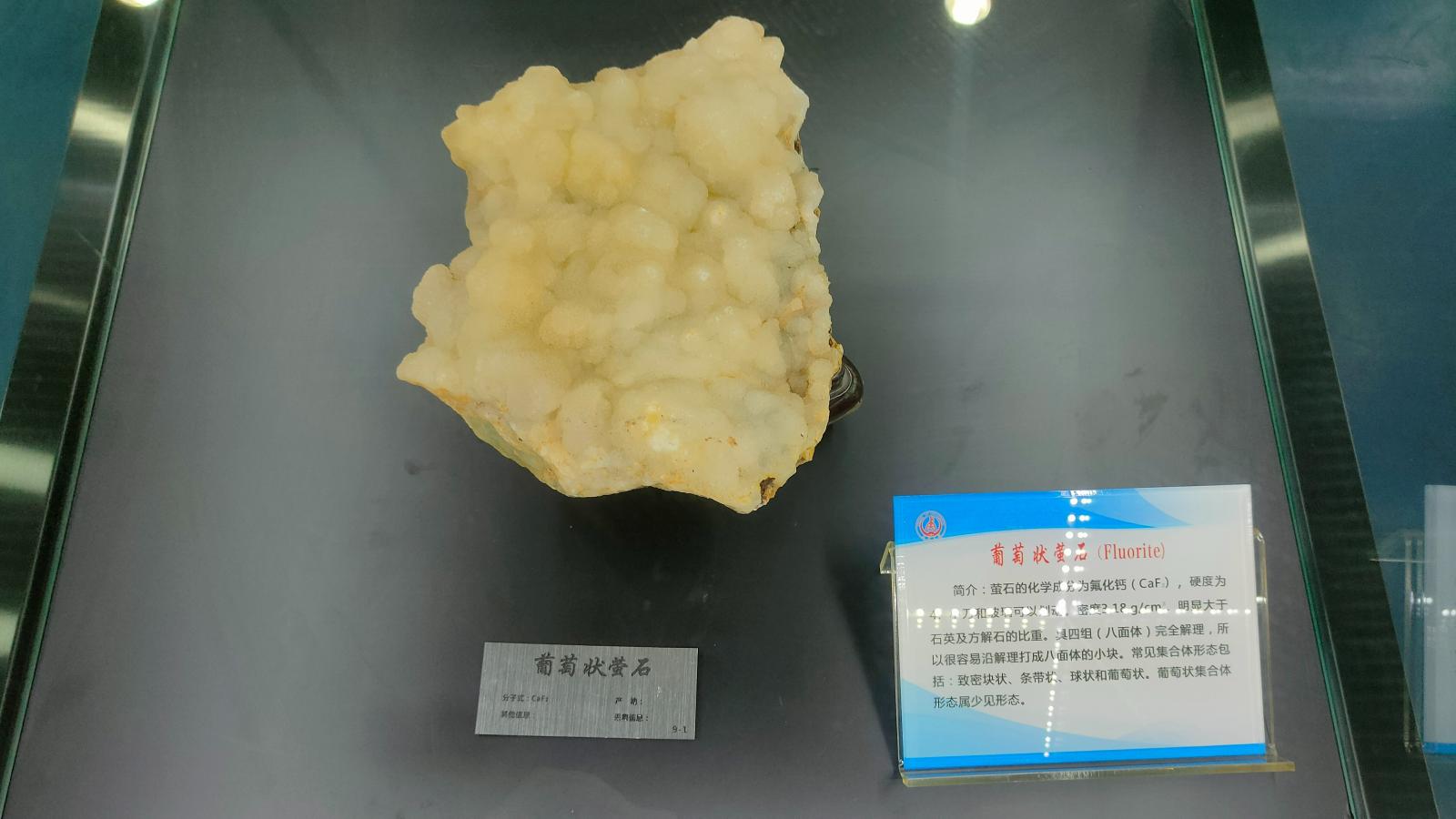 长安大学