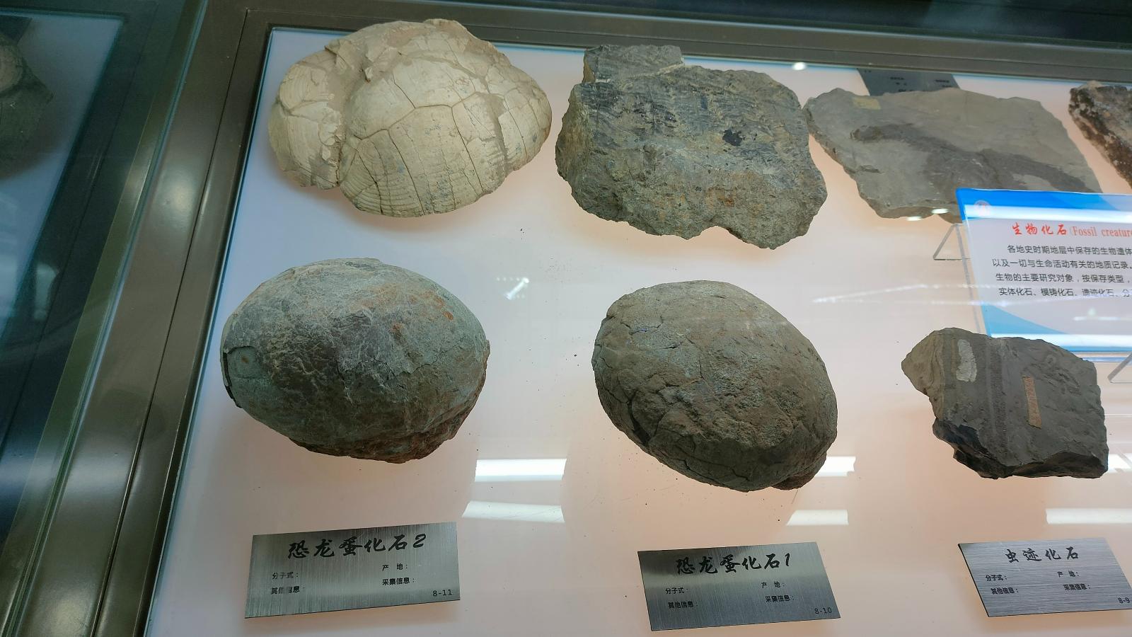 长安大学