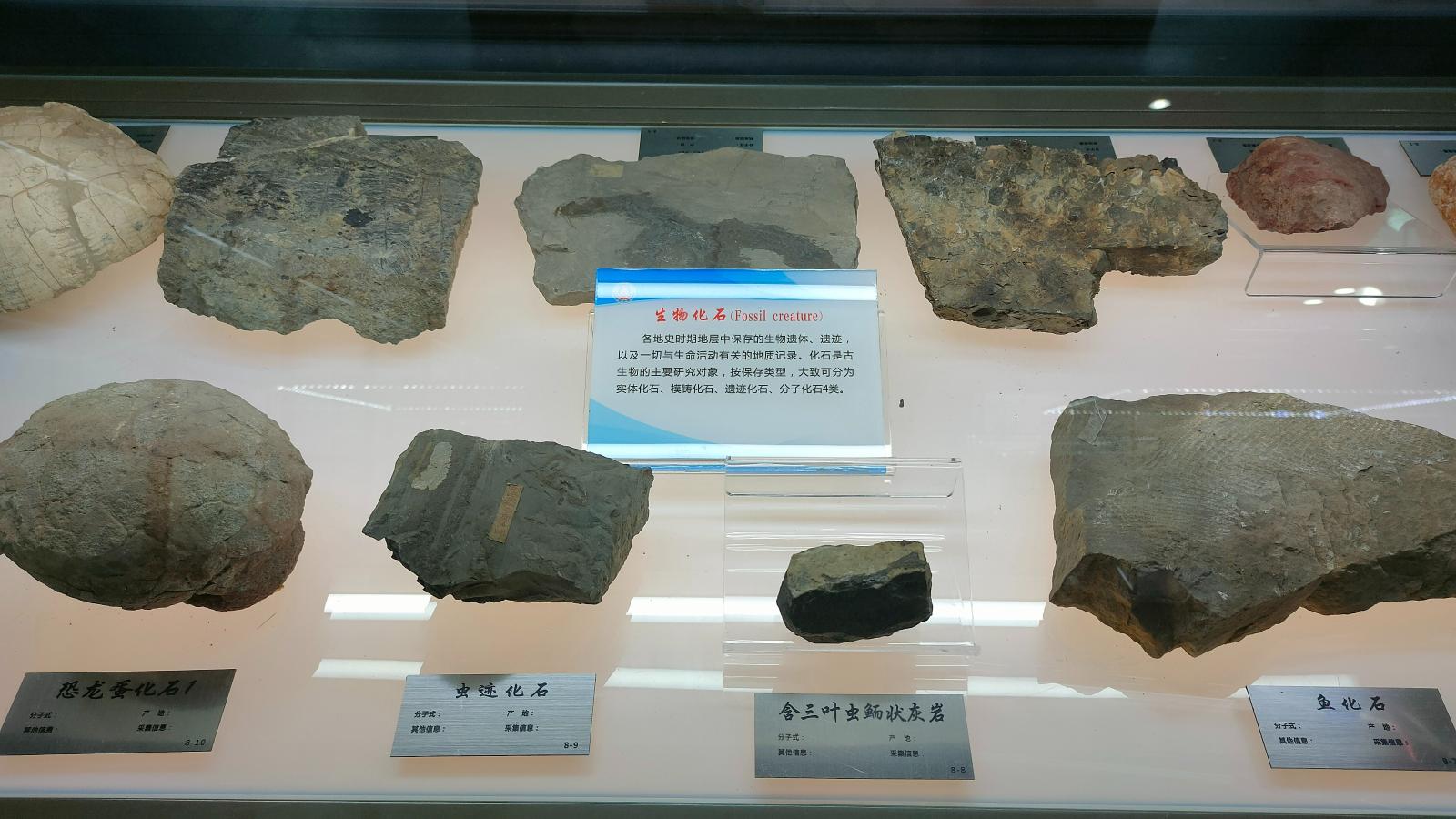 长安大学