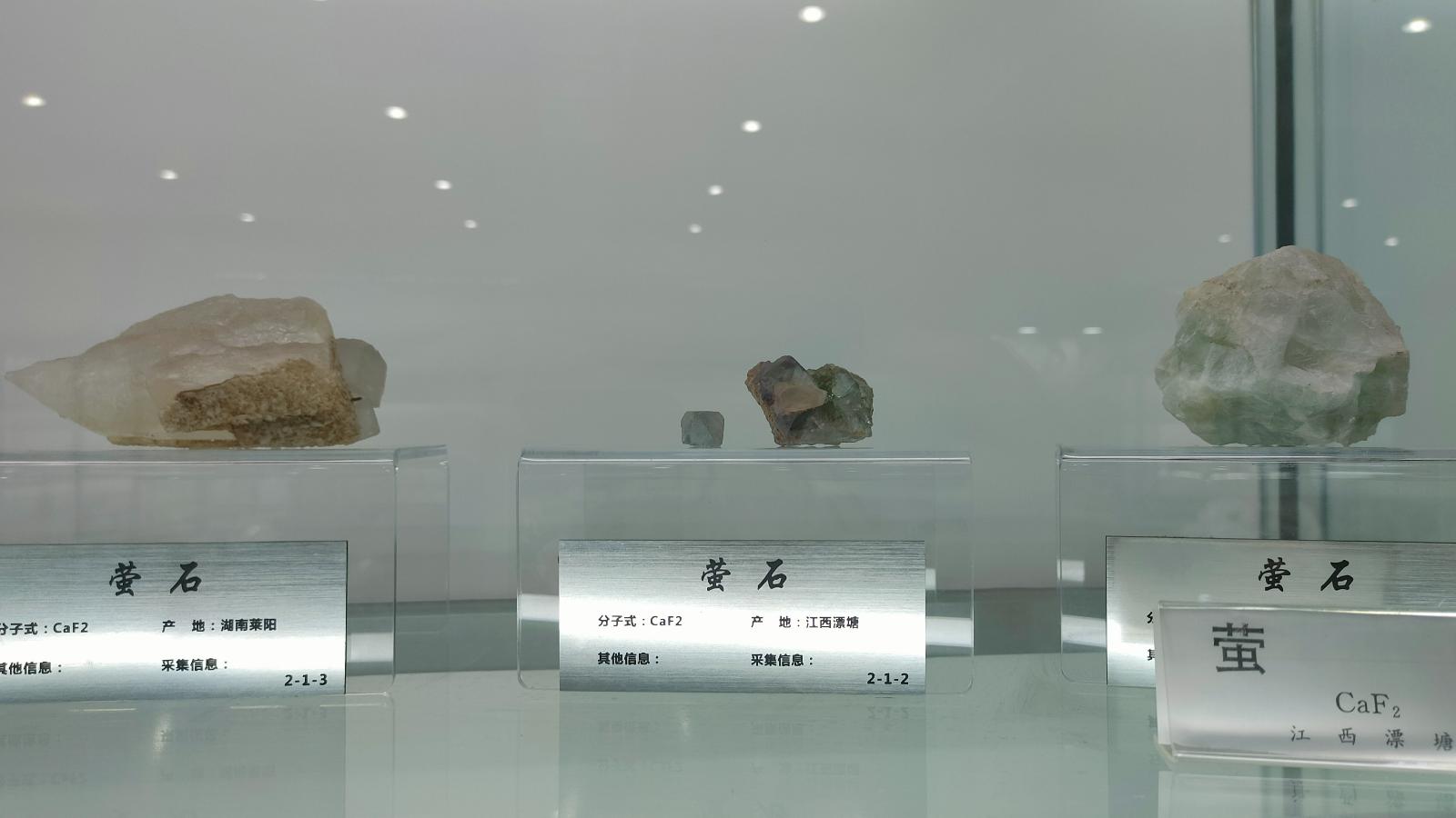 长安大学