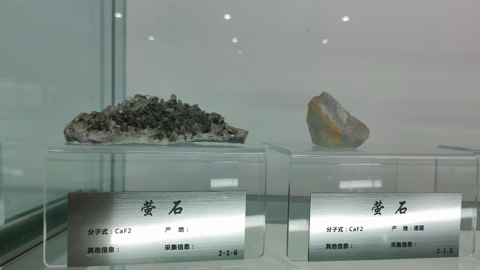 长安大学