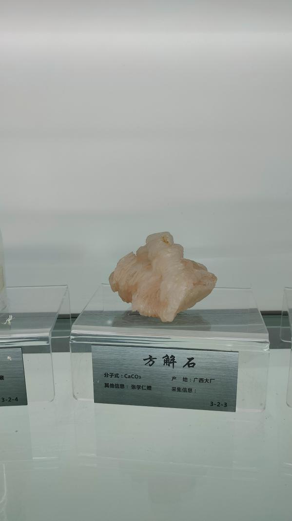 长安大学