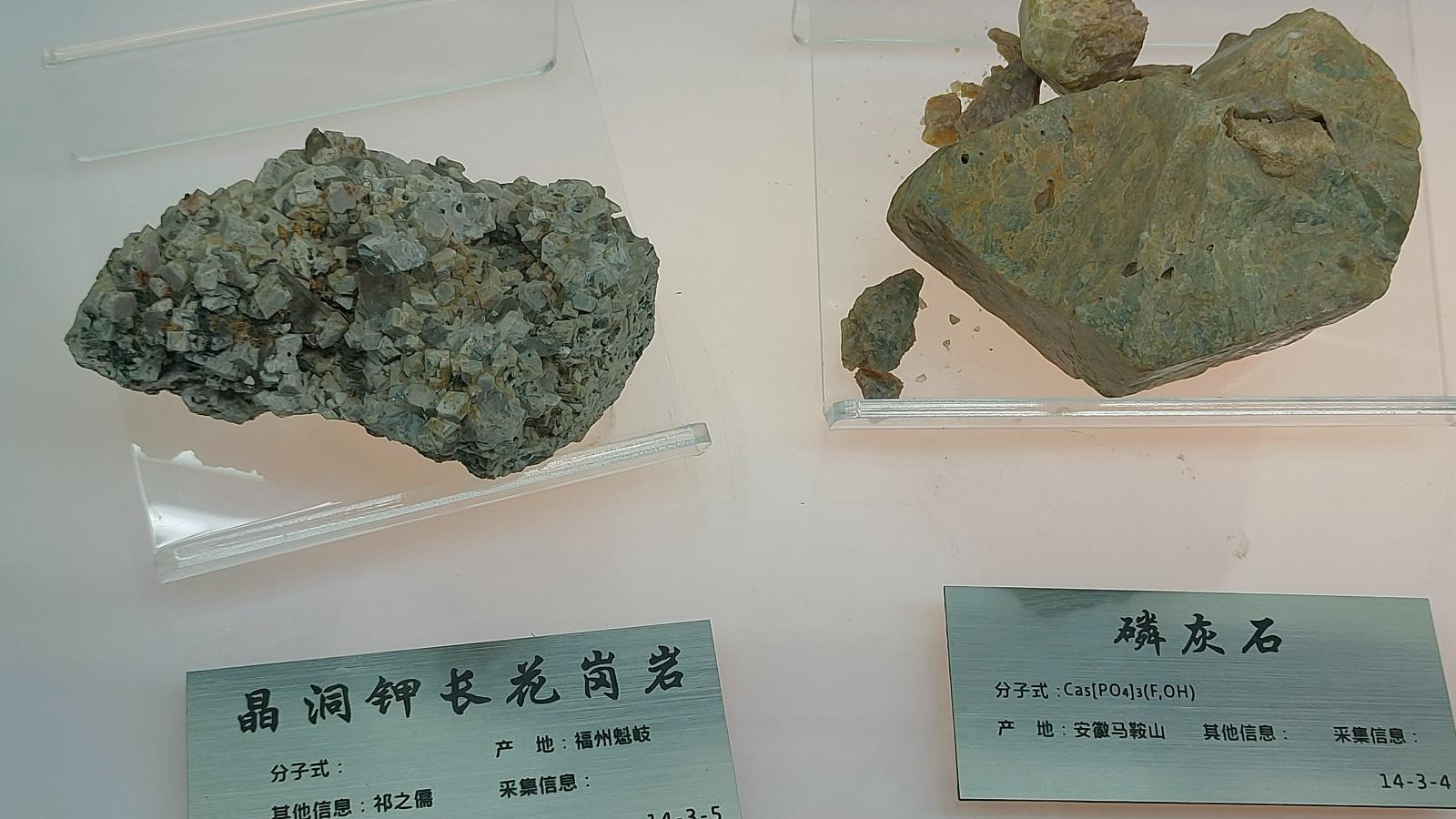 长安大学