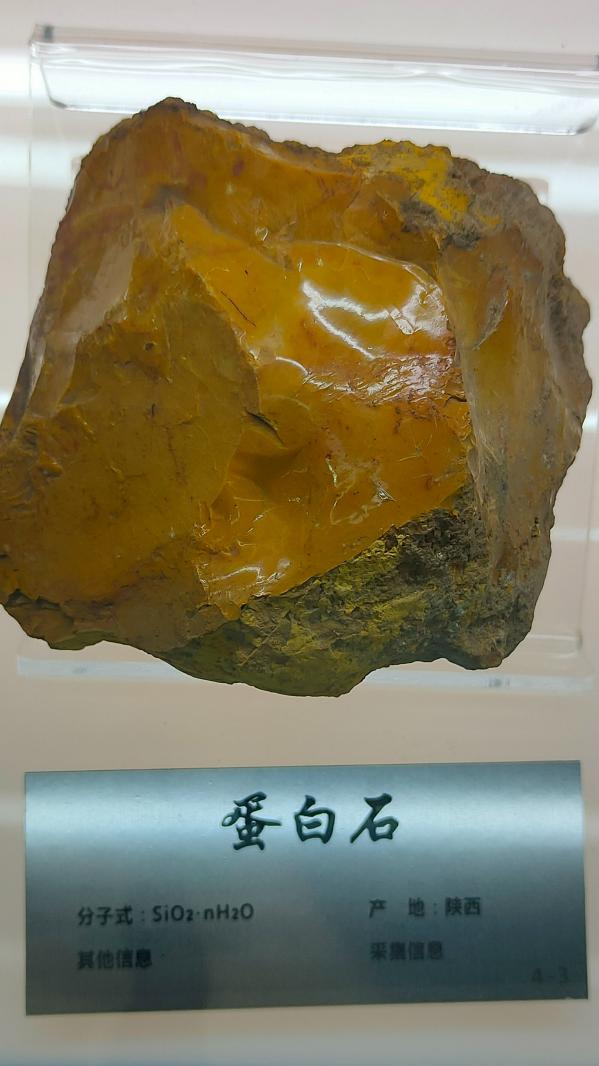 长安大学