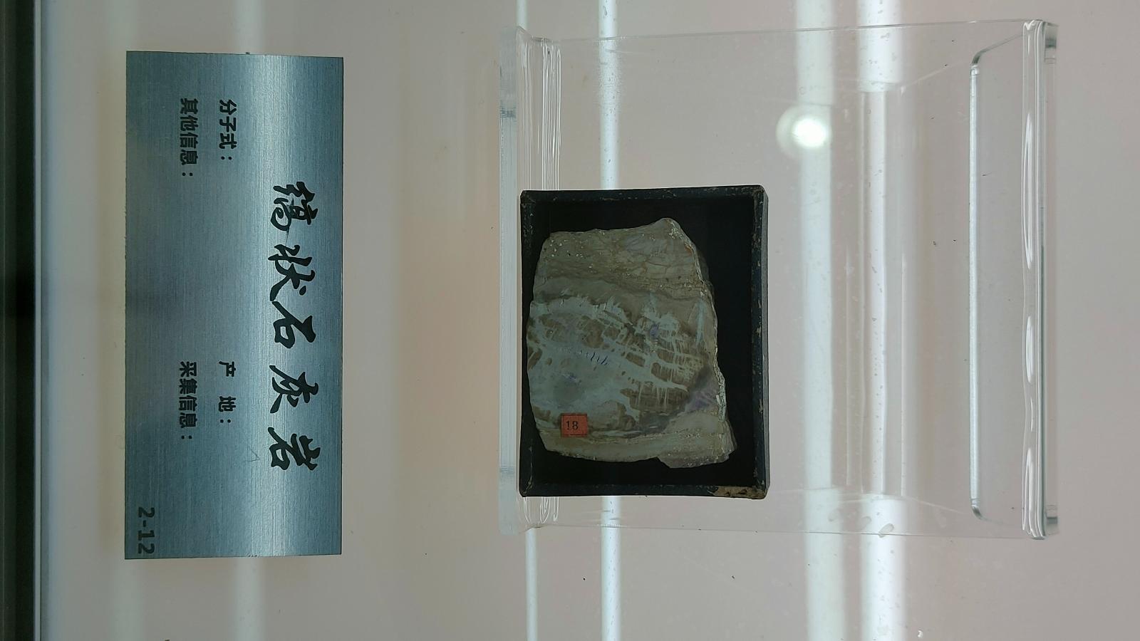 长安大学