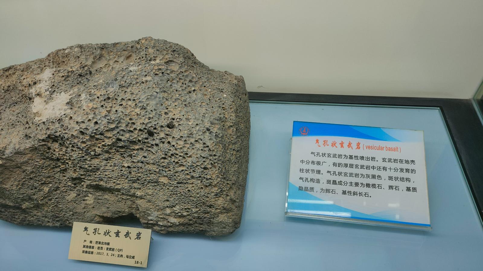 长安大学
