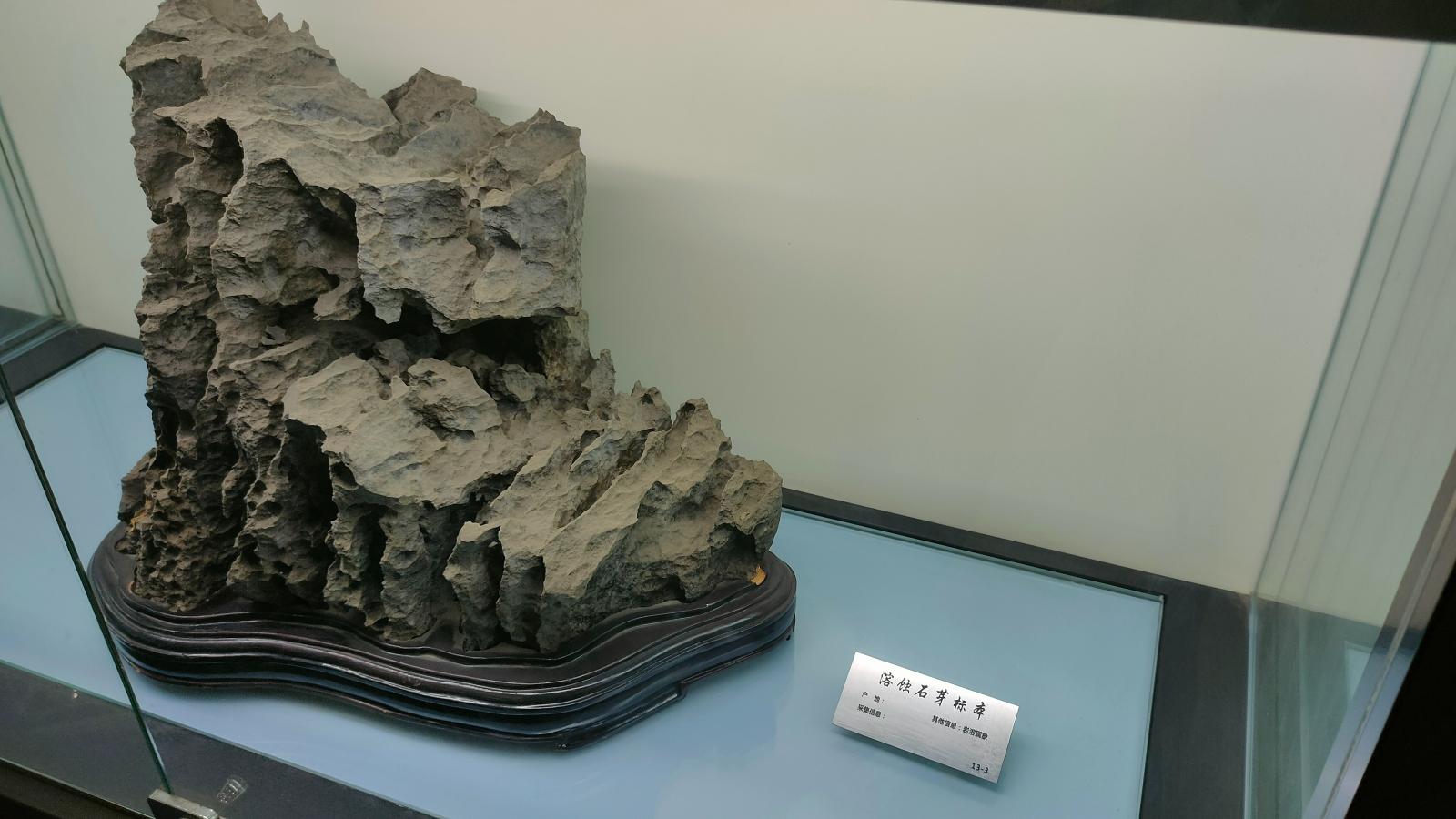 长安大学
