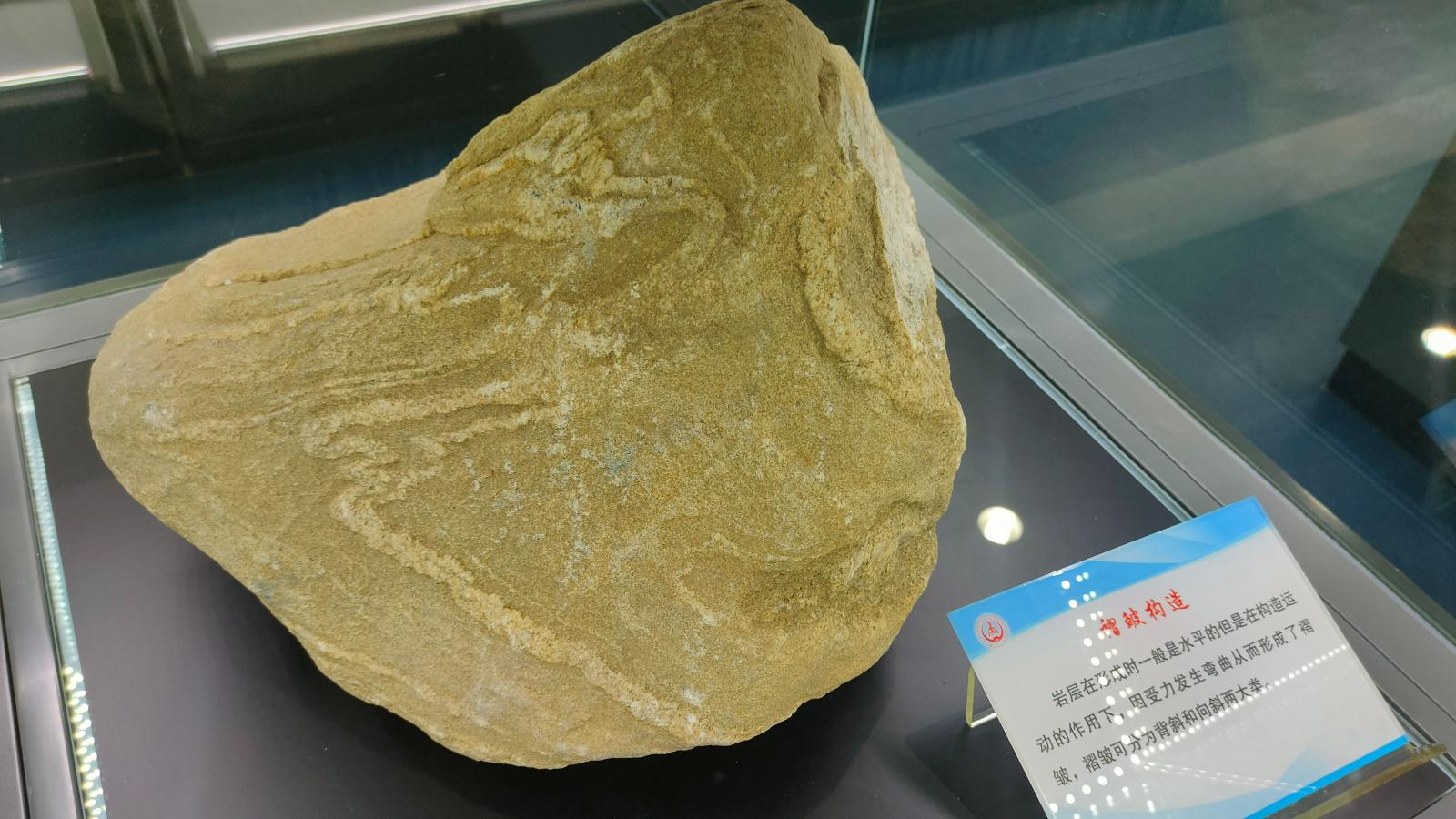 长安大学