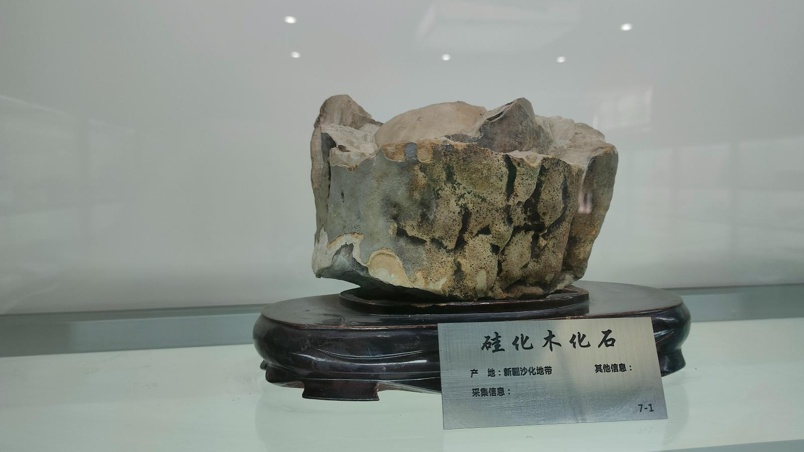长安大学