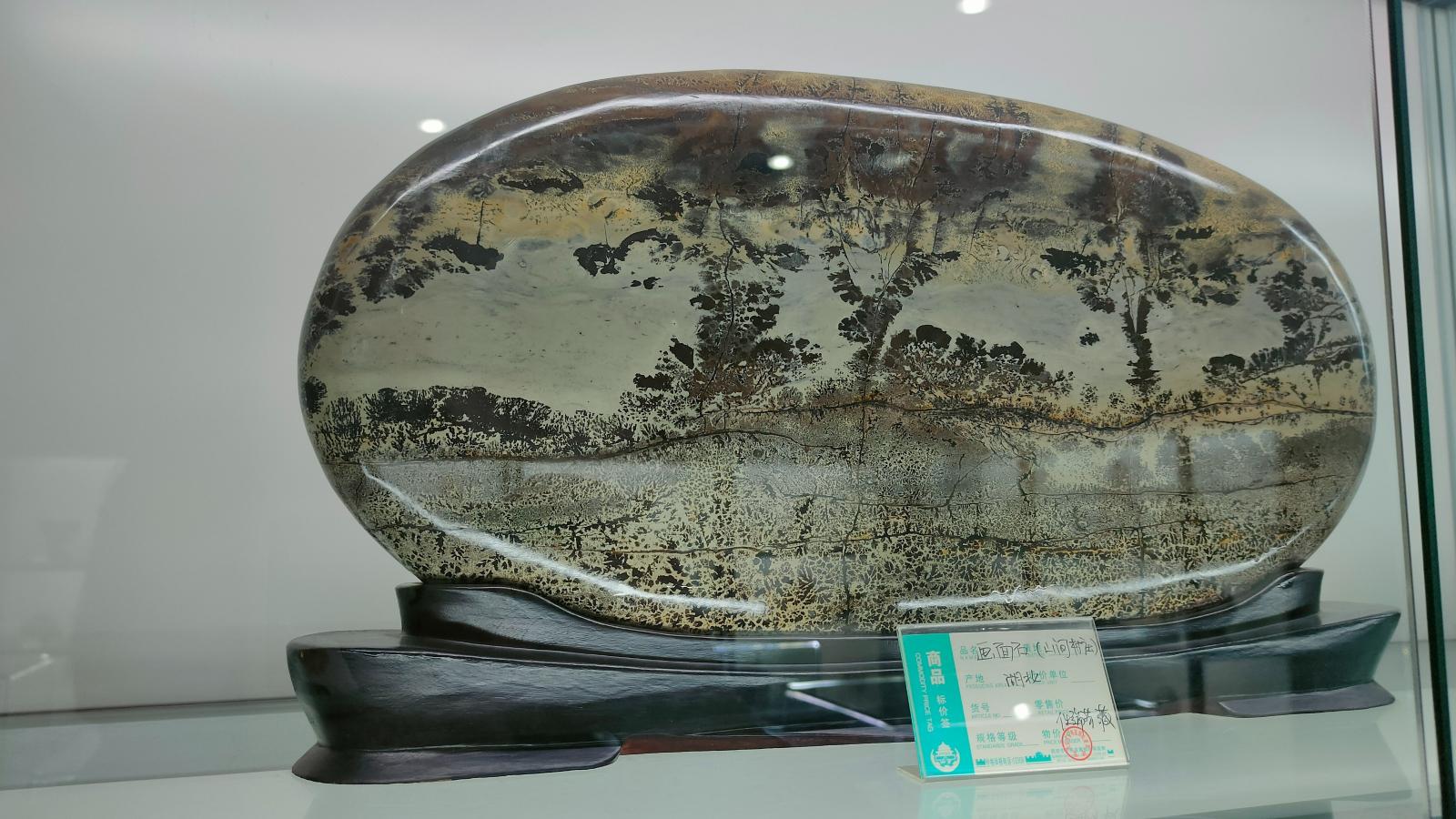 长安大学
