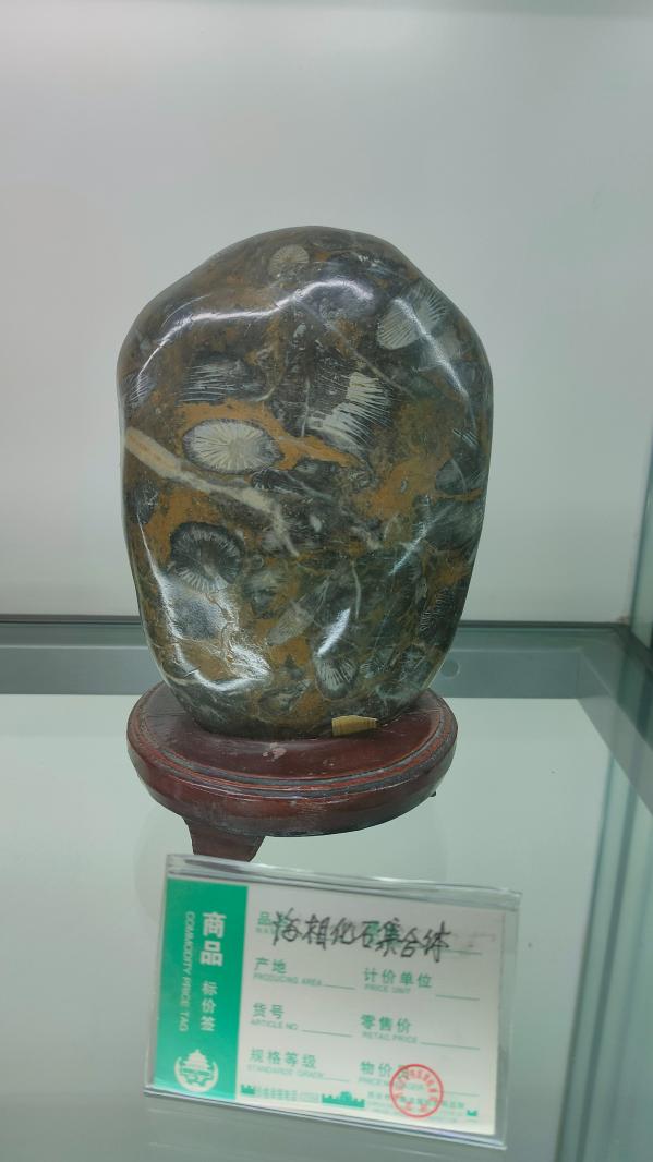 长安大学
