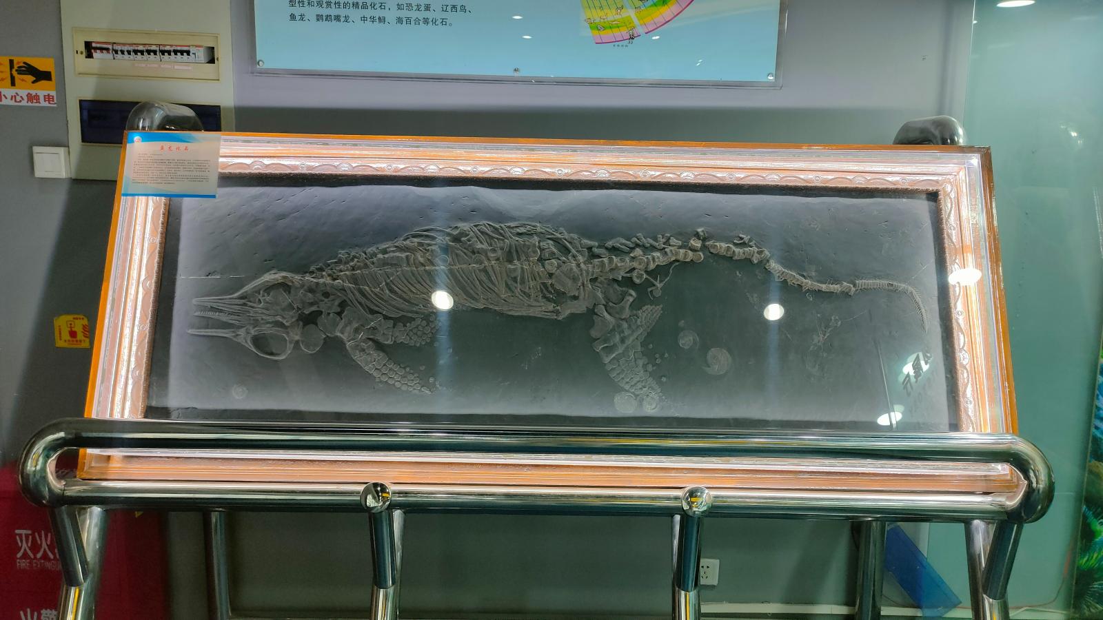 长安大学