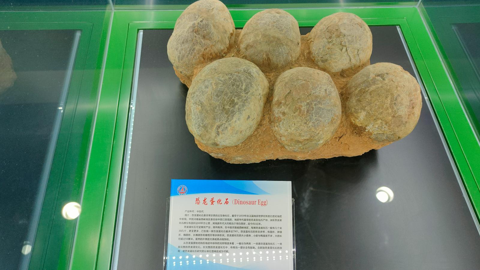 长安大学