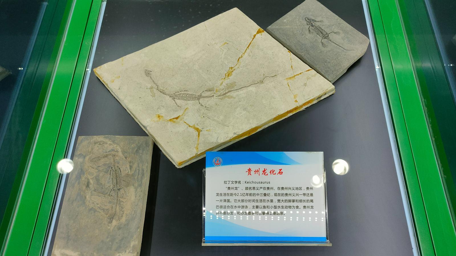长安大学