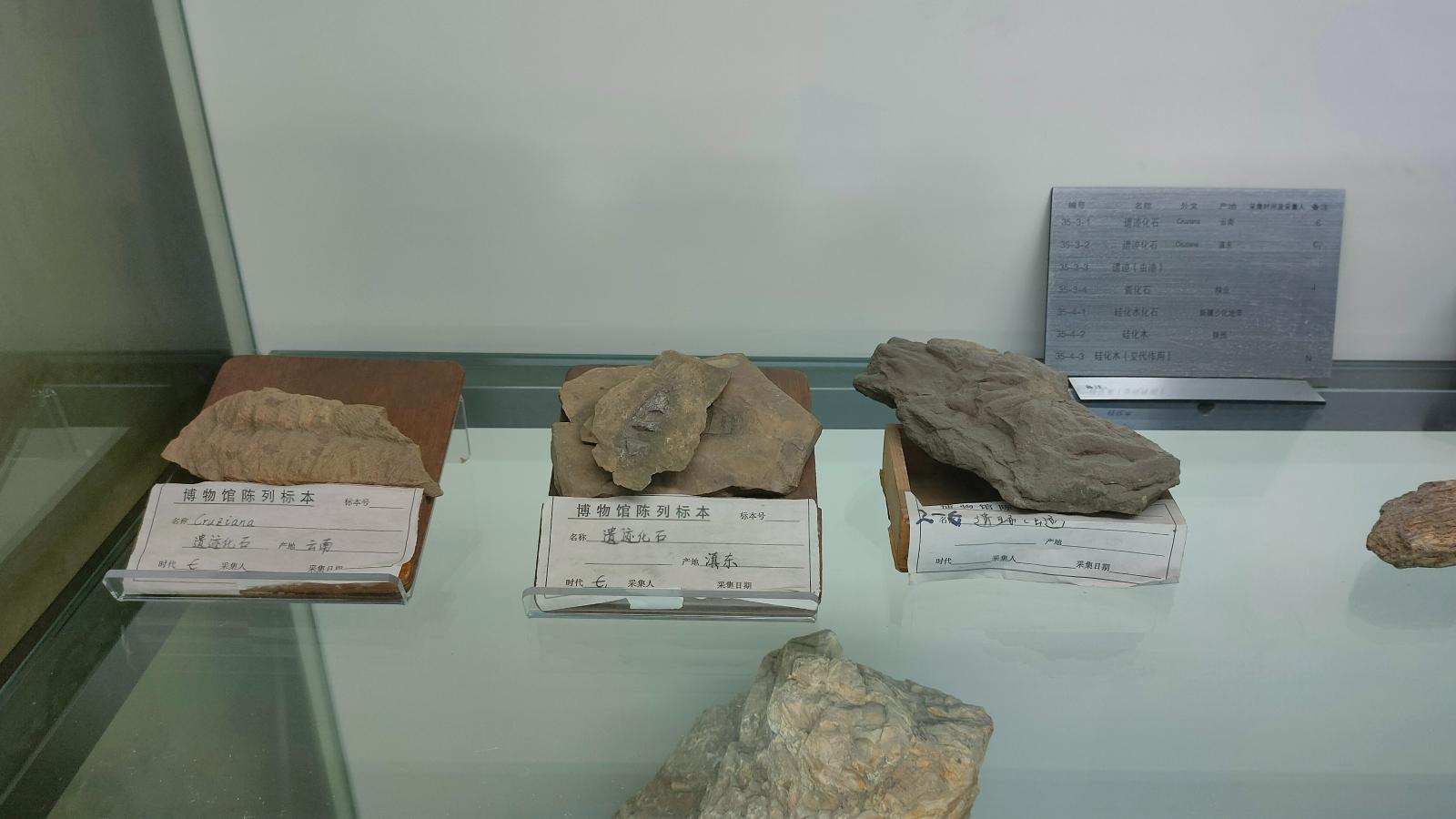 长安大学