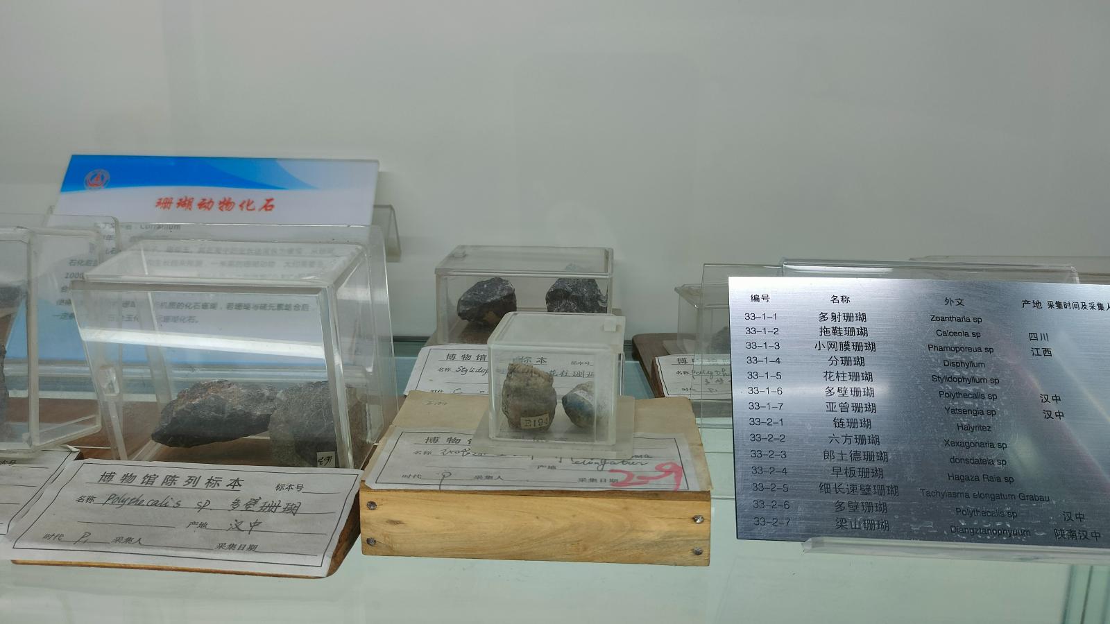 长安大学