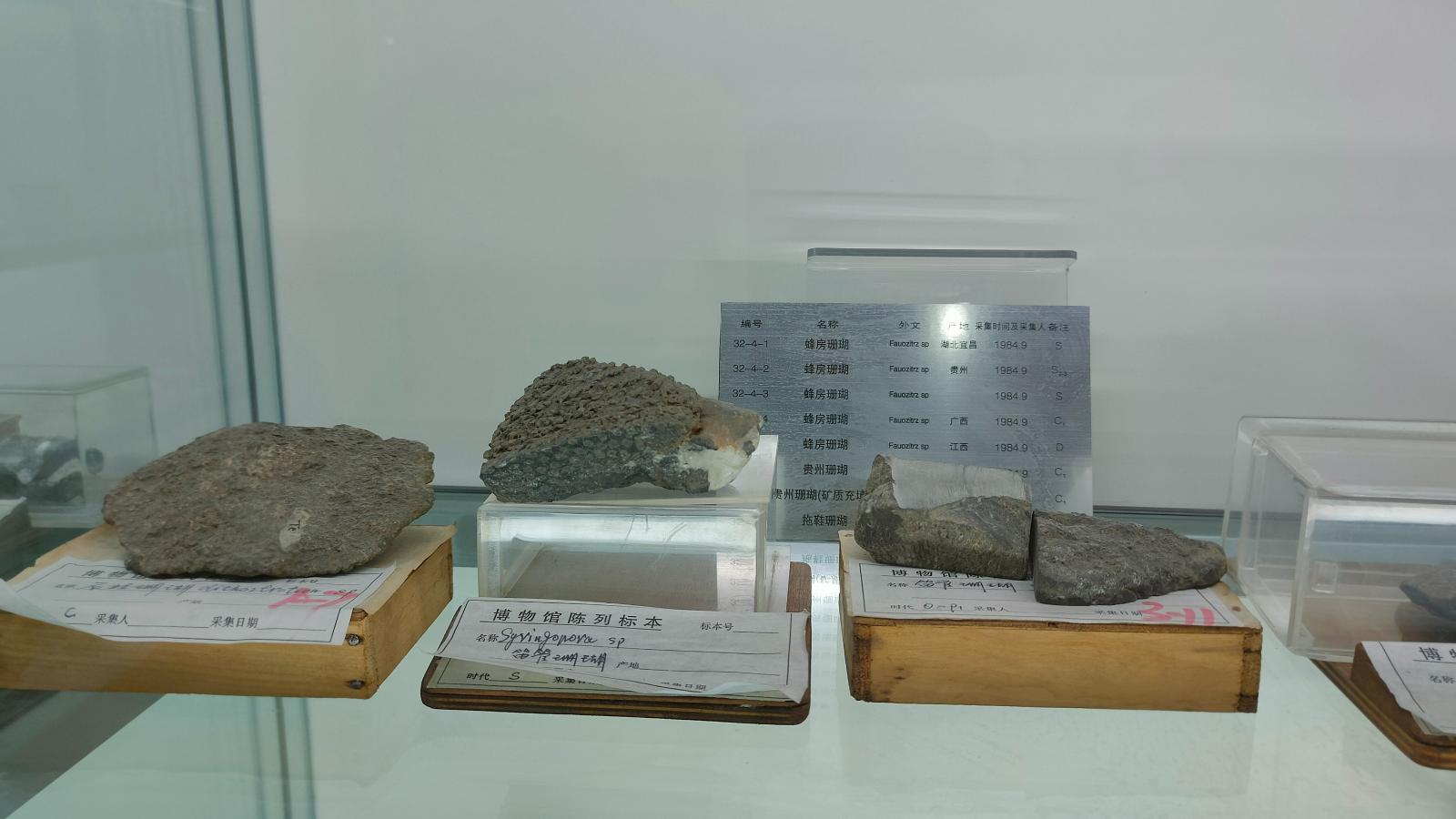 长安大学