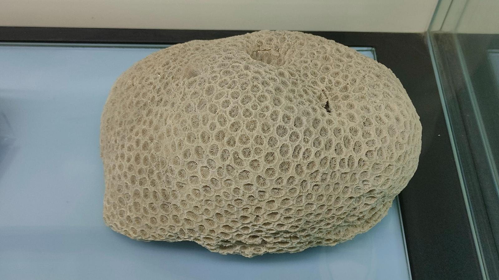 长安大学