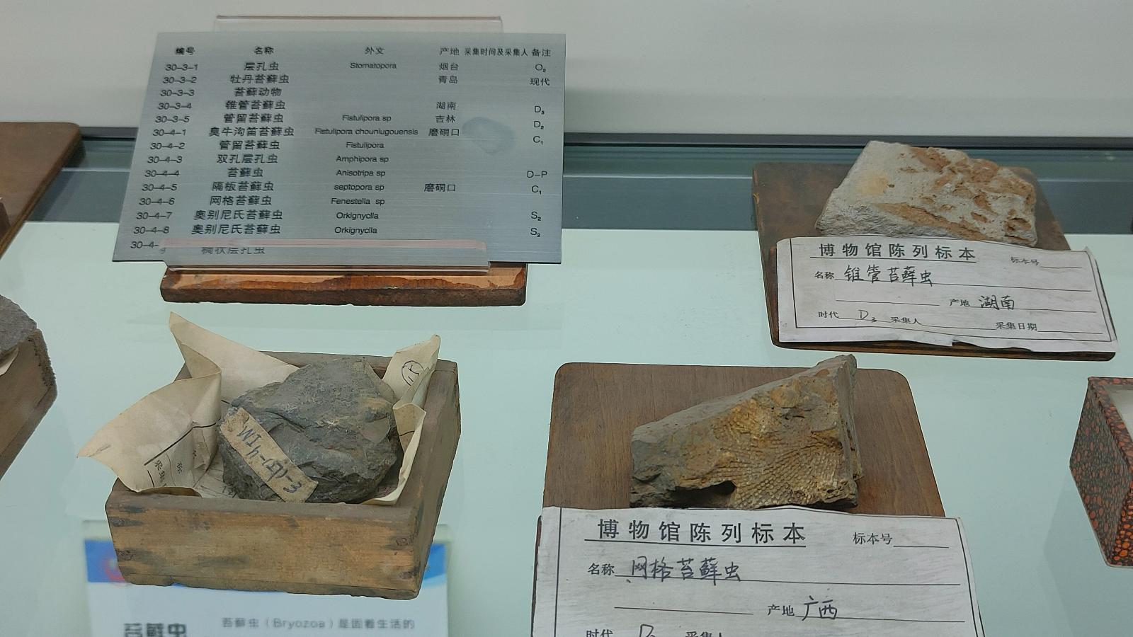 长安大学