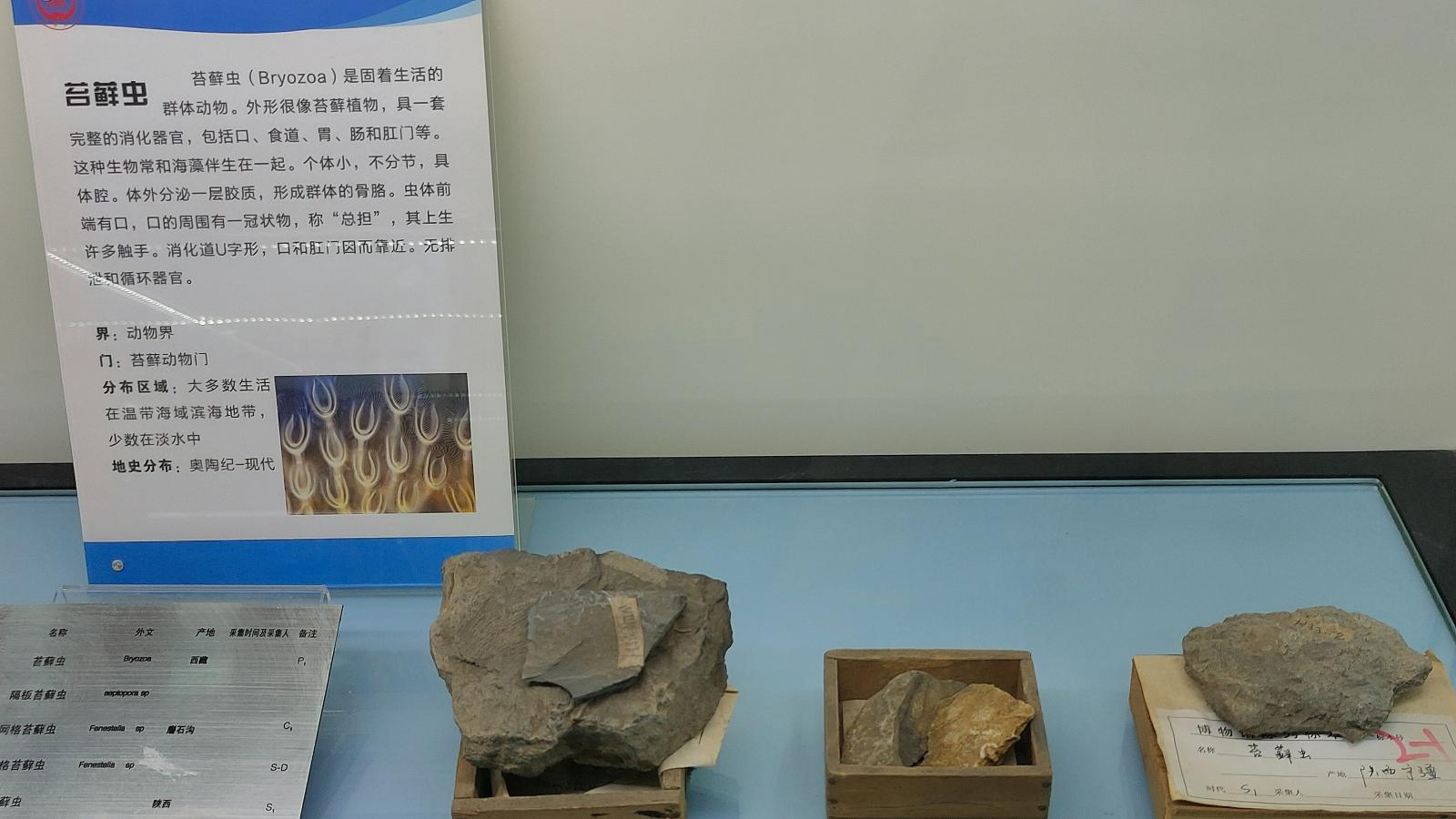 长安大学