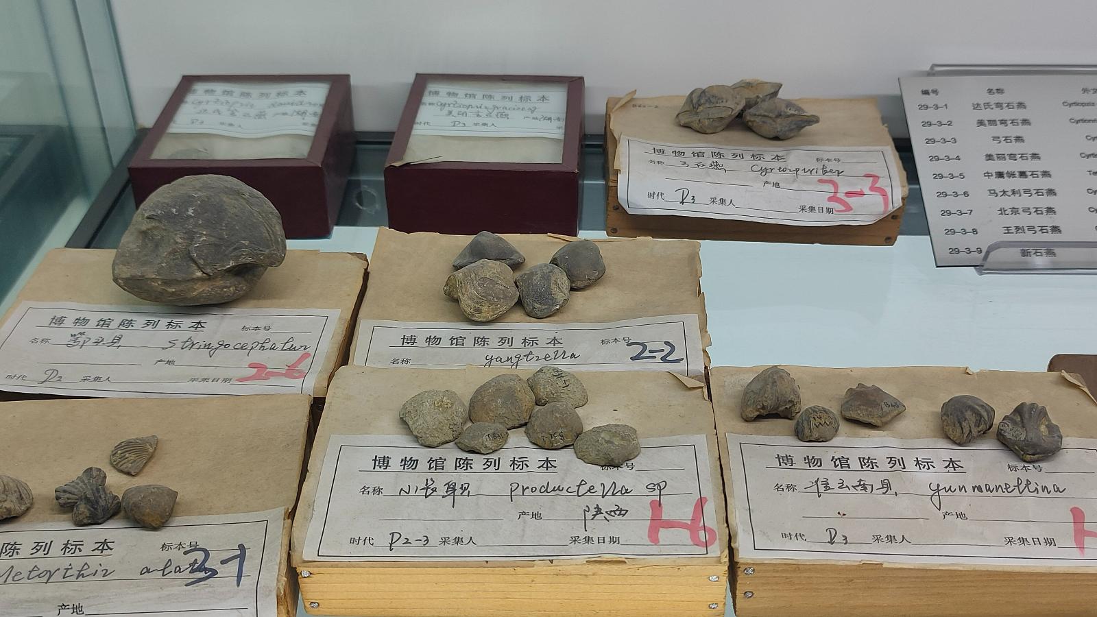 长安大学
