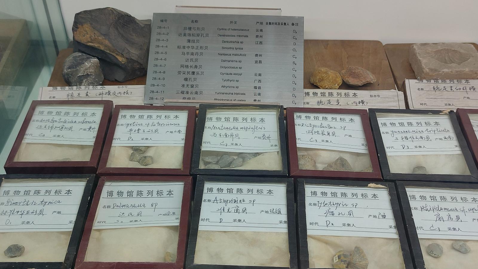 长安大学