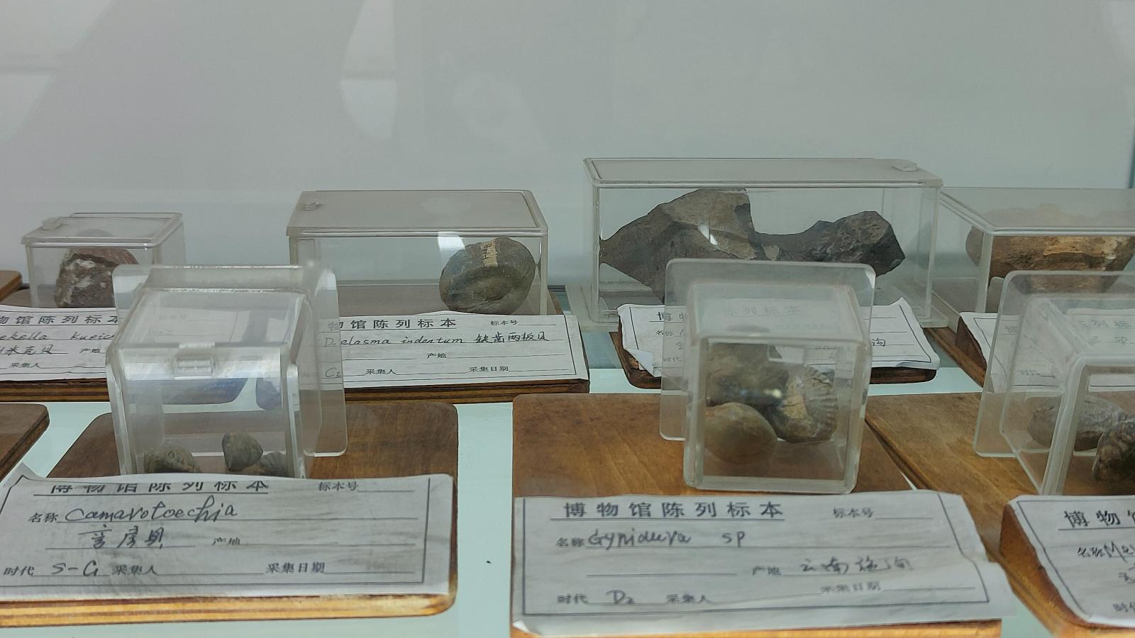 长安大学