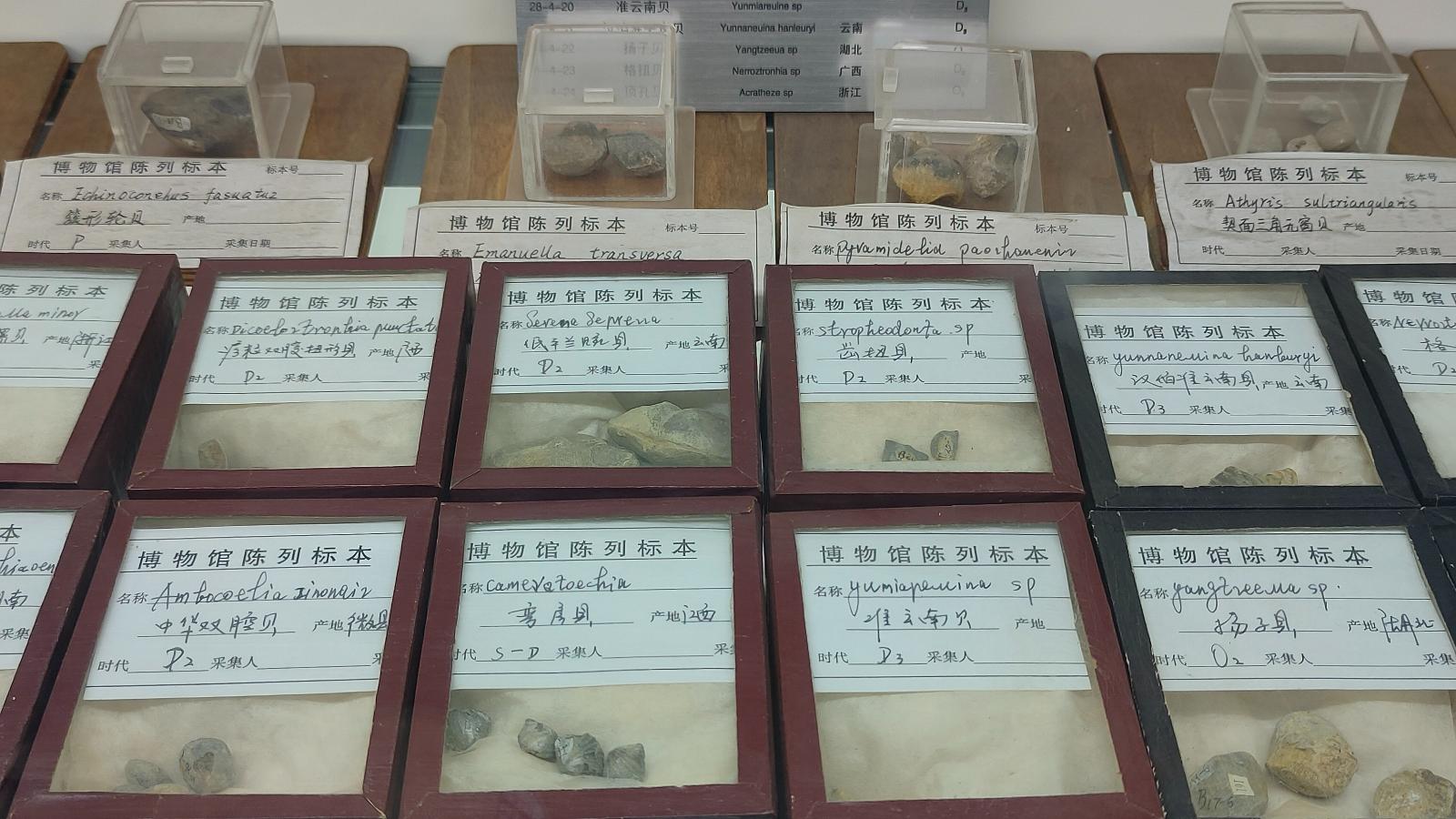 长安大学