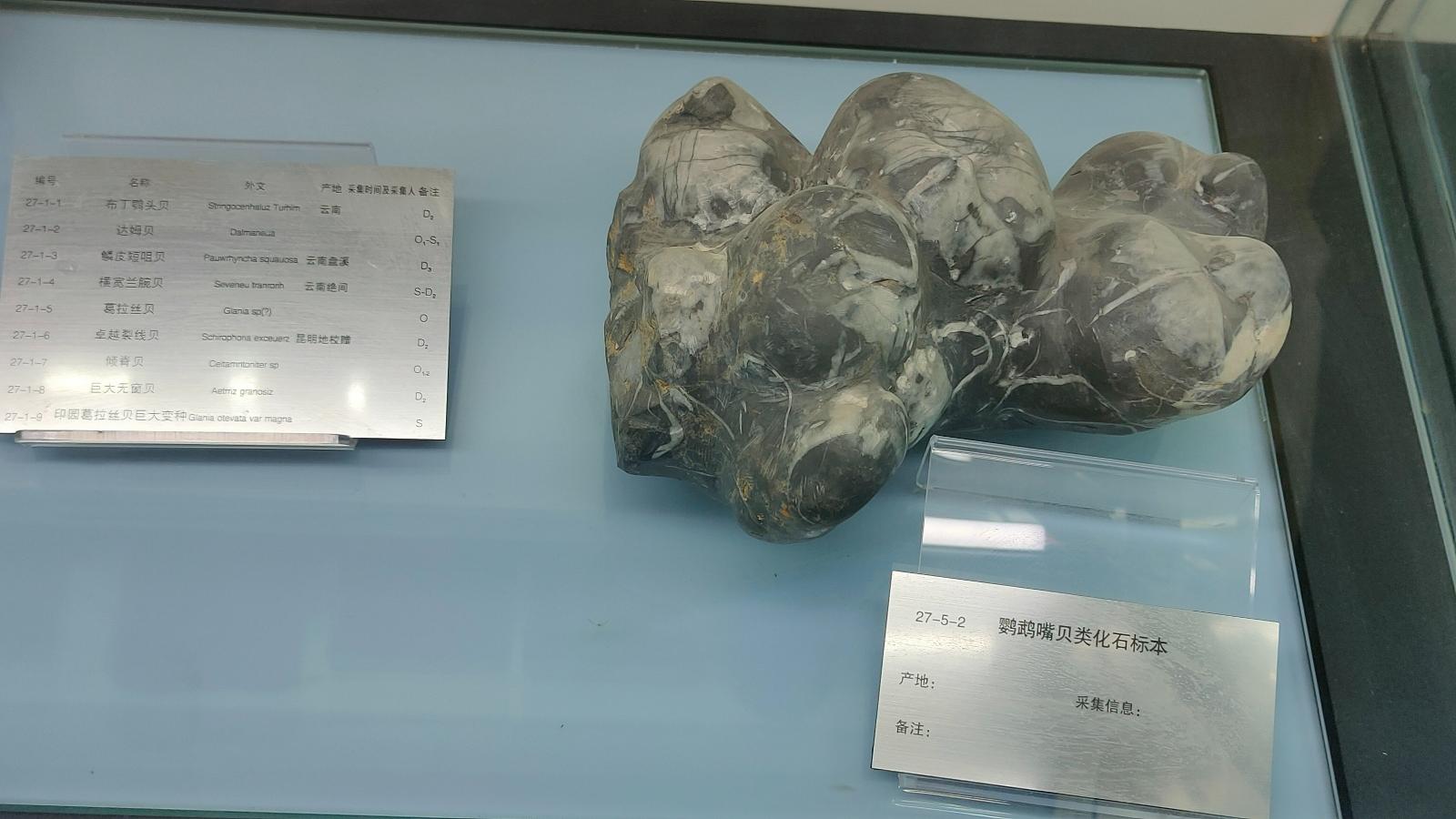 长安大学