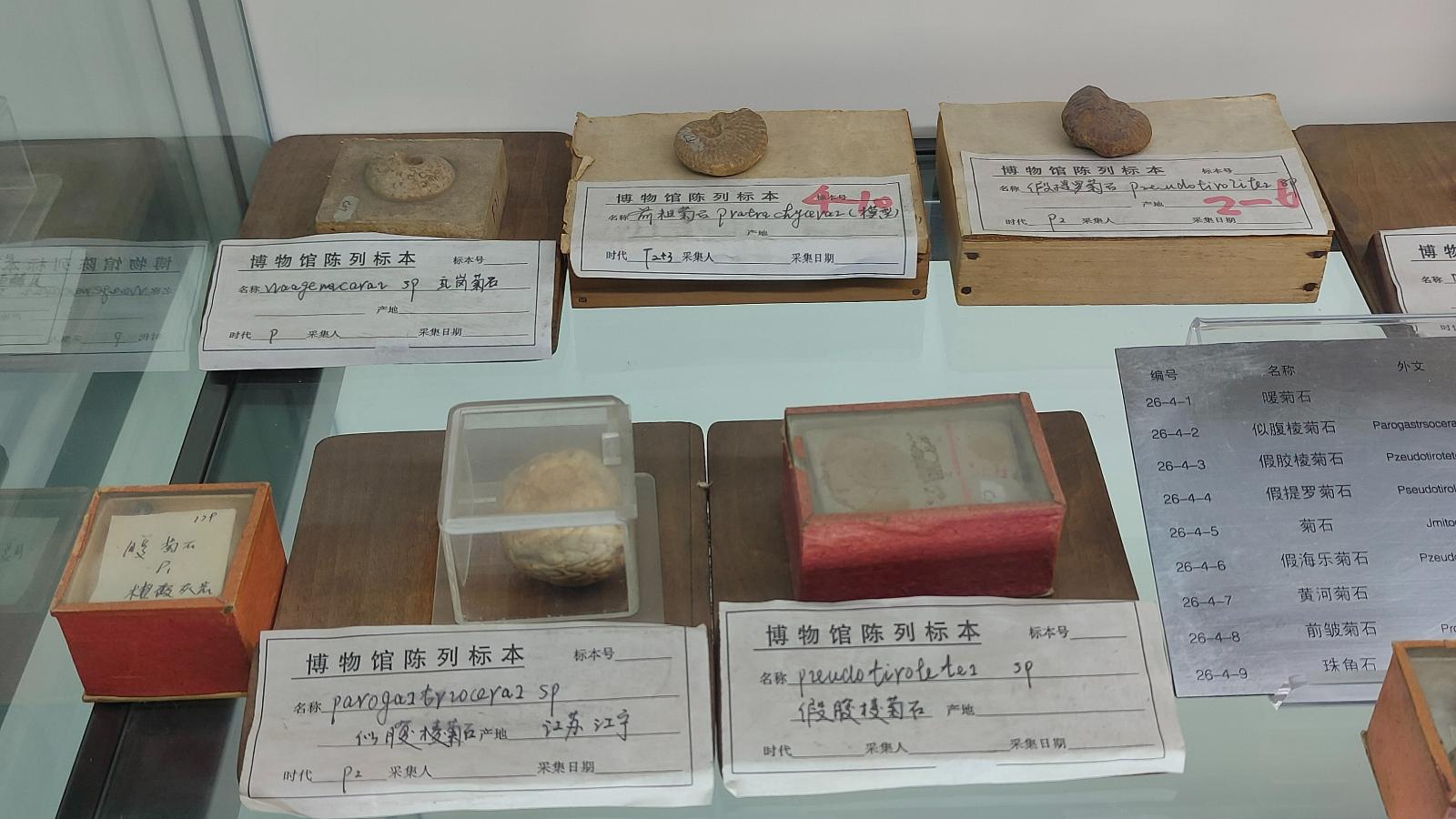 长安大学