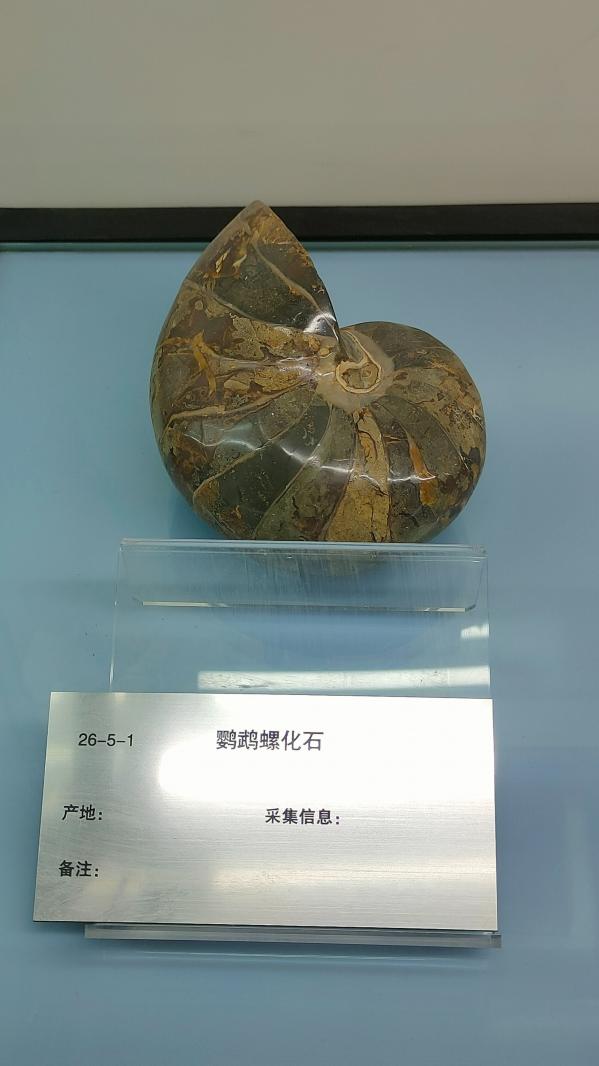 长安大学