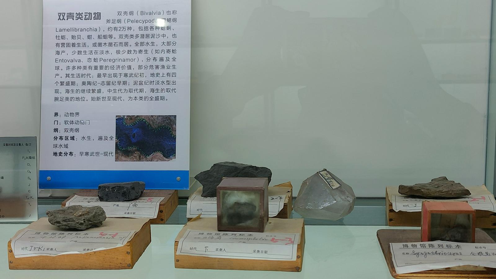 长安大学