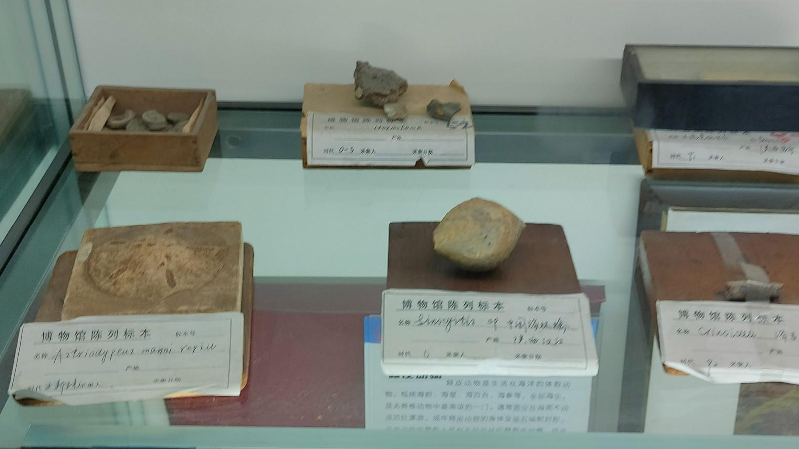 长安大学