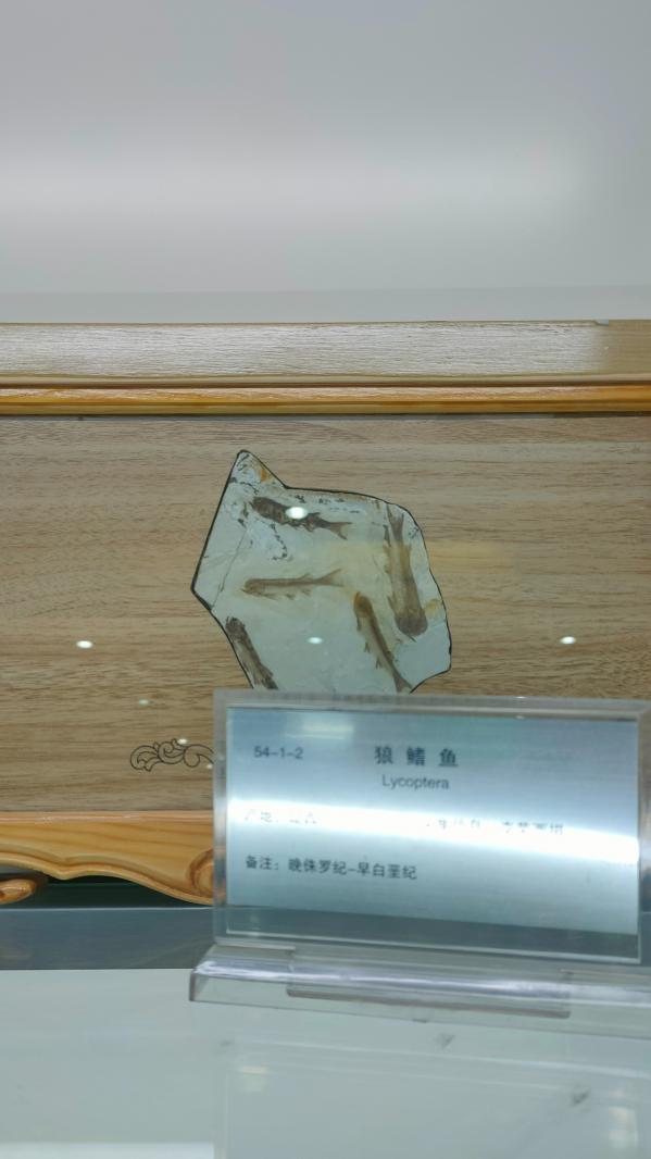 长安大学