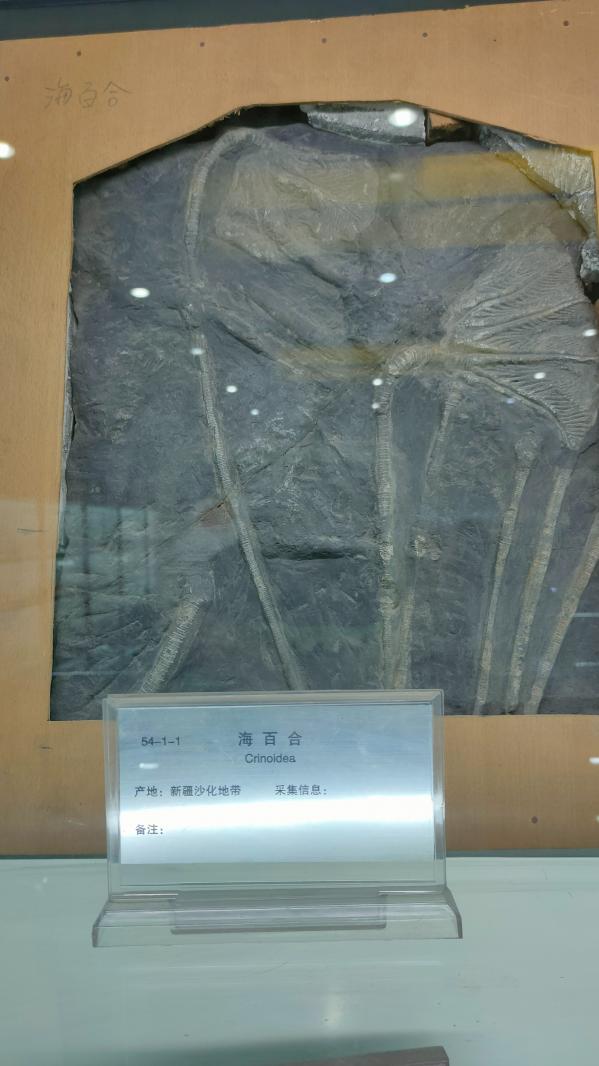 长安大学
