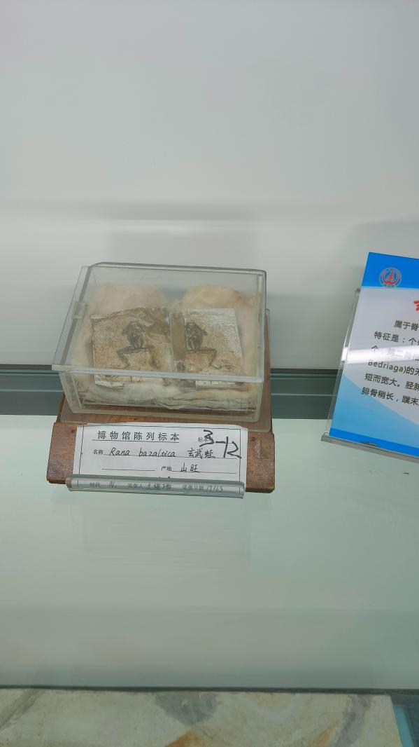 长安大学