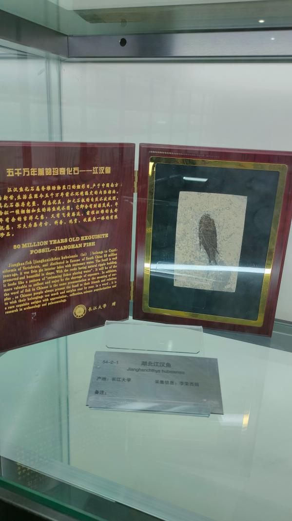 长安大学