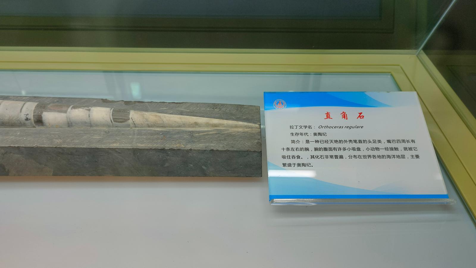 长安大学